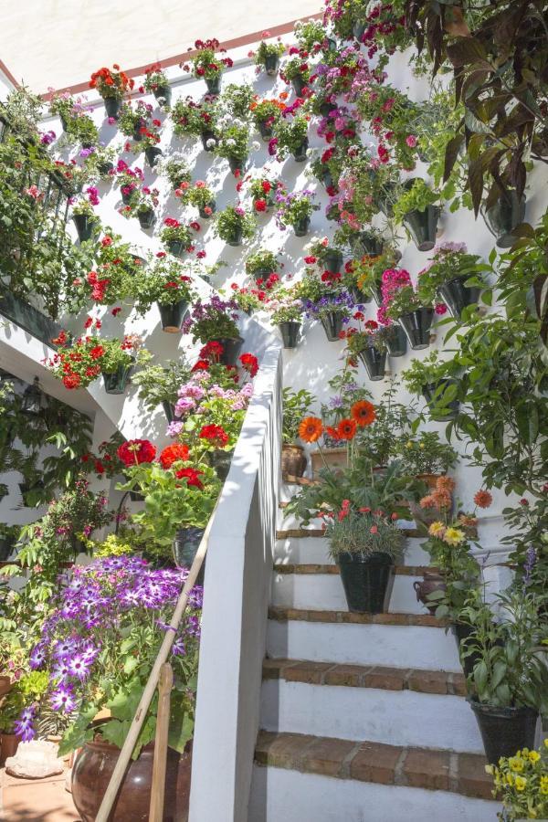La Casa De Rafalita Κόρδοβα Εξωτερικό φωτογραφία